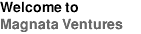 Welcome to Magnata Ventures